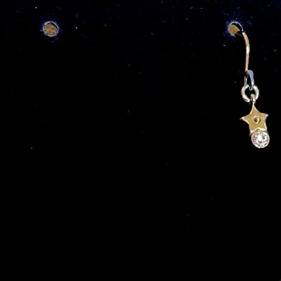 🌟FREE🌟NEW🌟 Coach Star/Stone Earring on Wire - Picture 5 of 5